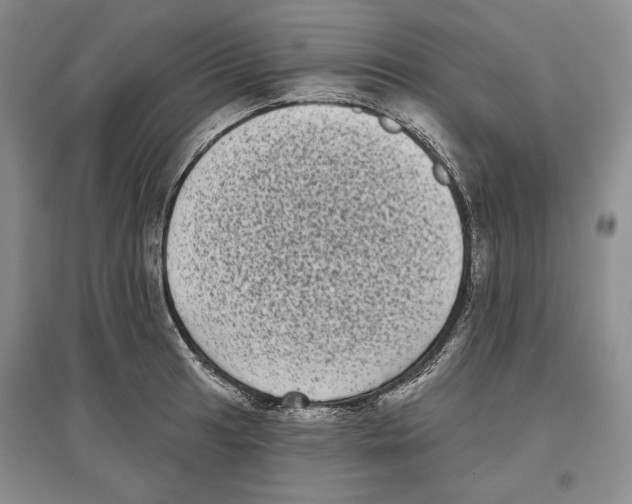 X0000097291041200803141506