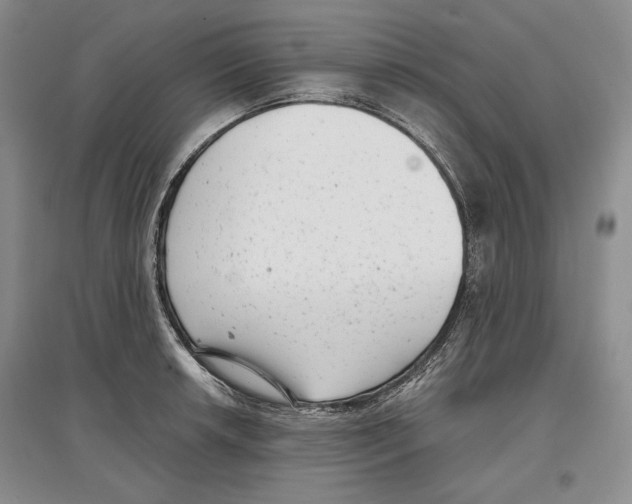 X0000097291042200803141506