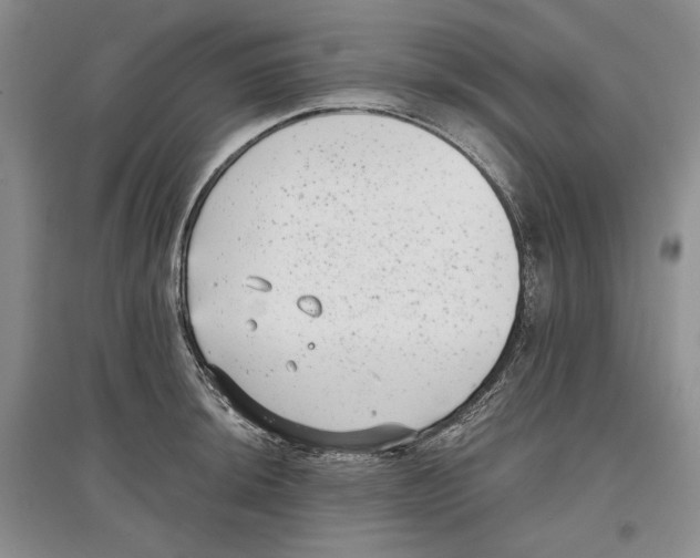 X0000097291044200803141506