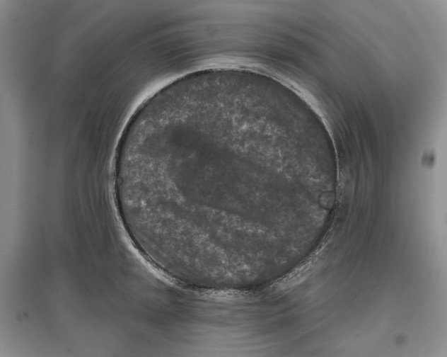 X0000097291045200803141506