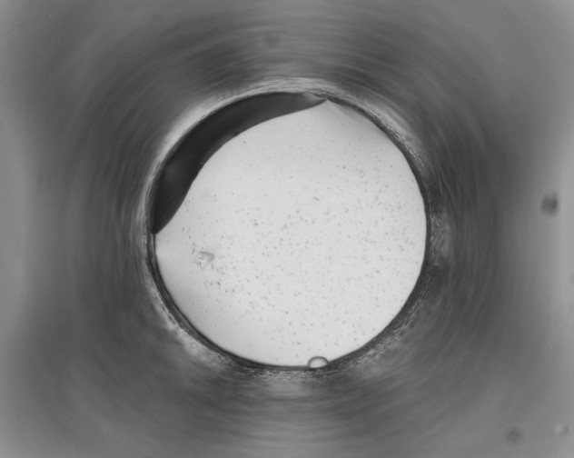 X0000097291046200803141506