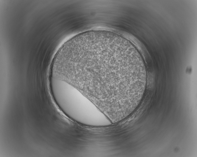 X0000097291048200803141506