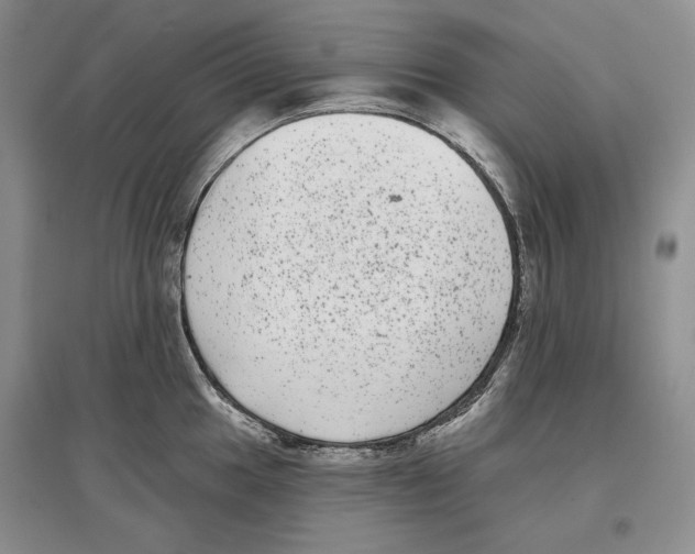 X0000097291049200803141506