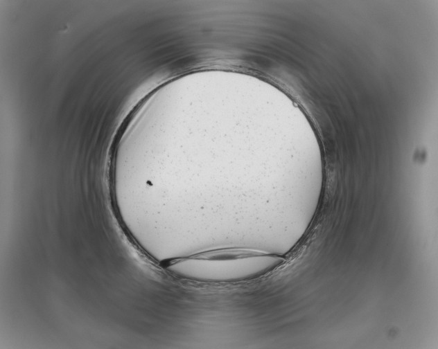 X0000097291050200803141506