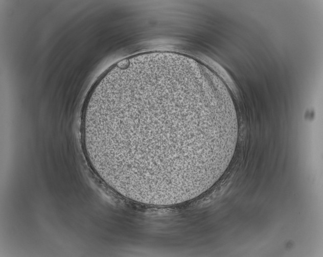 X0000097291051200803141506