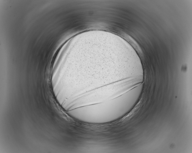 X0000097291052200803141506