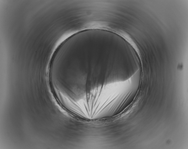 X0000097291053200803141506