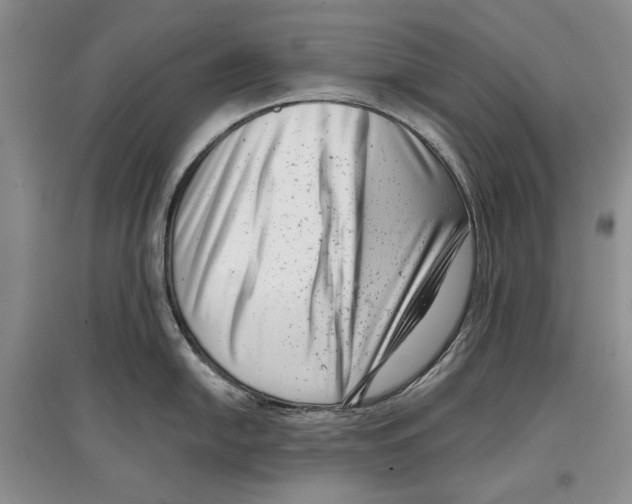 X0000097291054200803141506