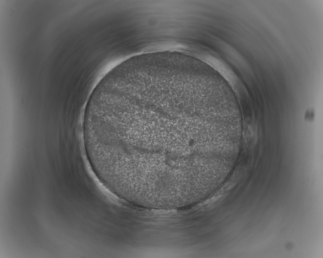 X0000097291055200803141506