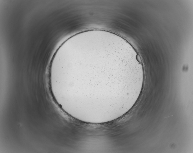 X0000097291056200803141506