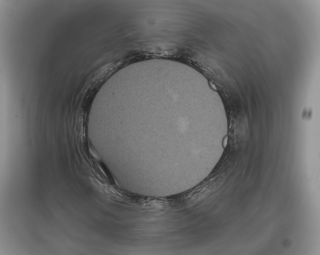 X0000097291058200803141505