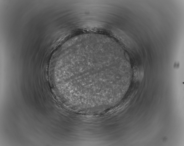 X0000097291060200803141505