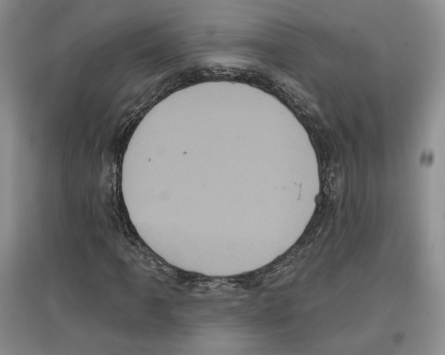 X0000097291061200803141505