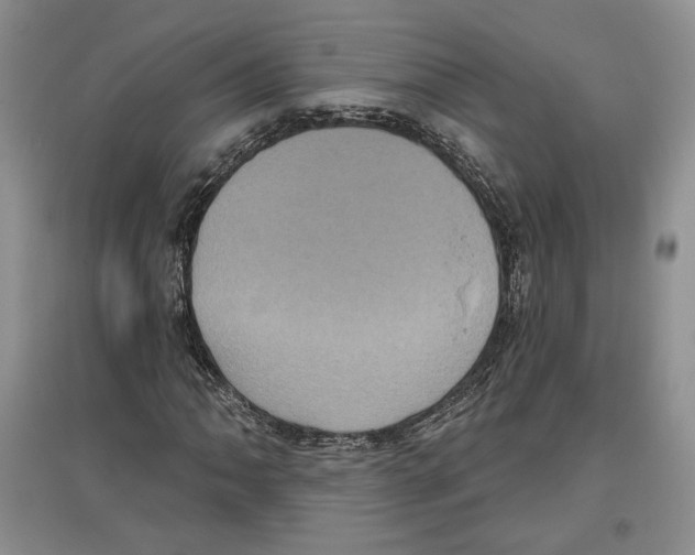 X0000097291062200803141505