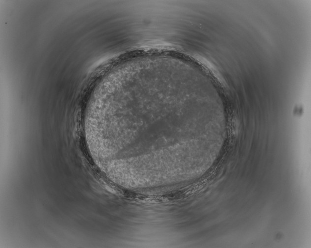 X0000097291063200803141505