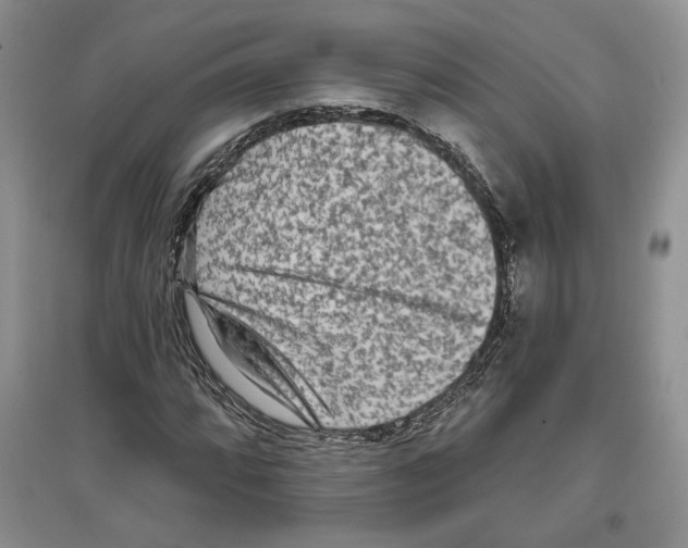 X0000097291064200803141505