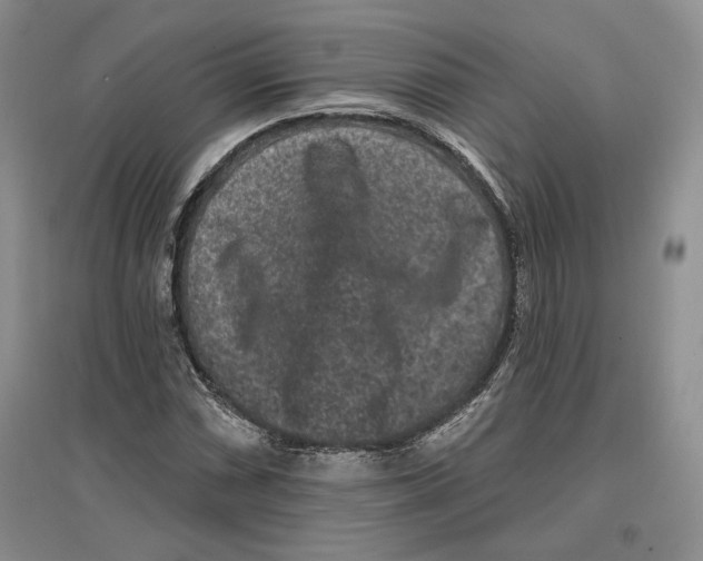 X0000097291066200803141505