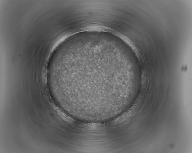 X0000097291067200803141505