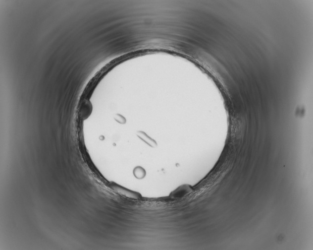 X0000097291068200803141505