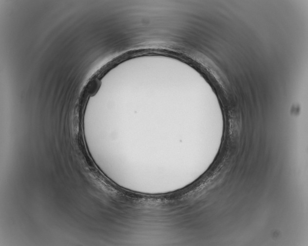 X0000097291069200803141505