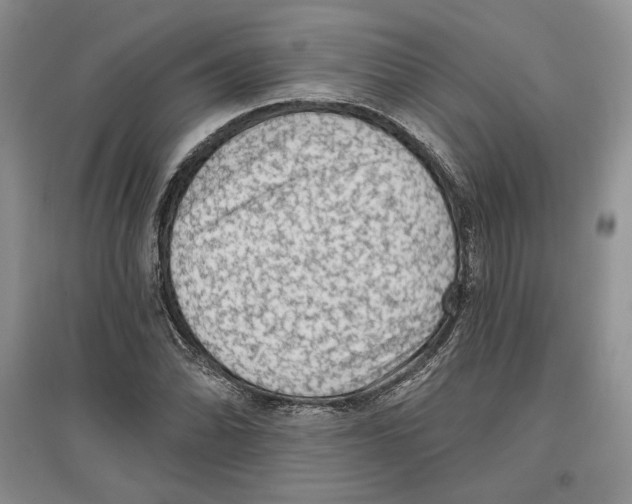 X0000097291070200803141505