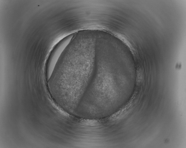 X0000097291071200803141505