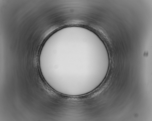 X0000097291073200803141505