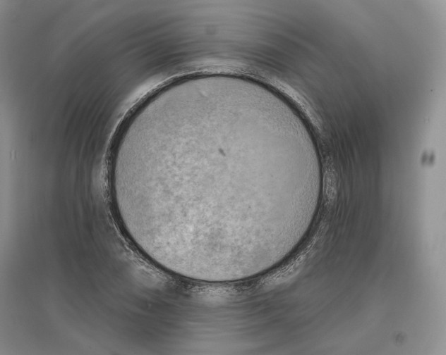 X0000097291074200803141505