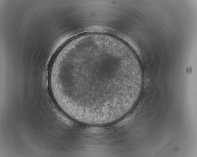 X0000097291075200803141505