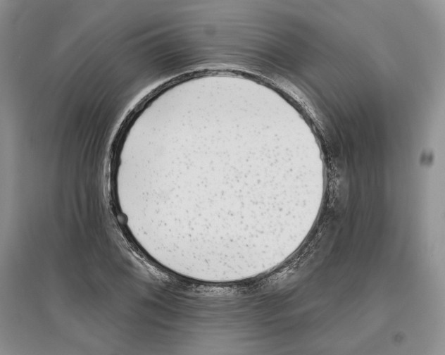 X0000097291076200803141505