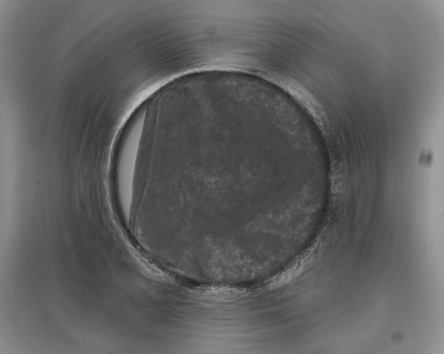 X0000097291077200803141505