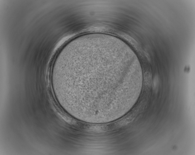 X0000097291078200803141505