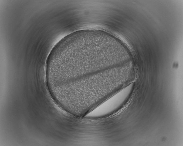 X0000097291079200803141505