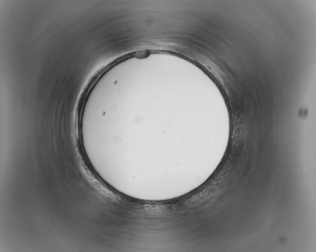 X0000097291080200803141505