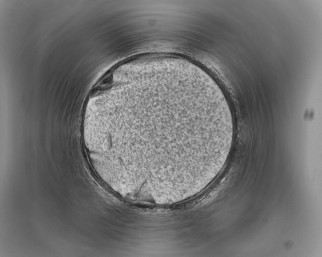 X0000097291081200803141505