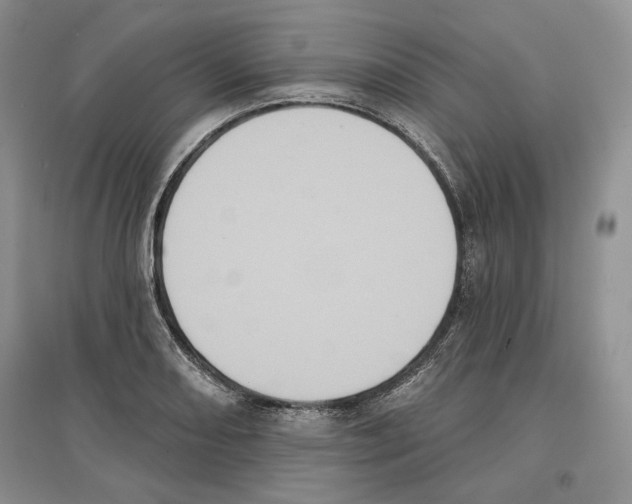 X0000097291082200803141505