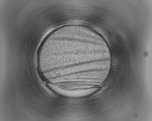 X0000097291083200803141505