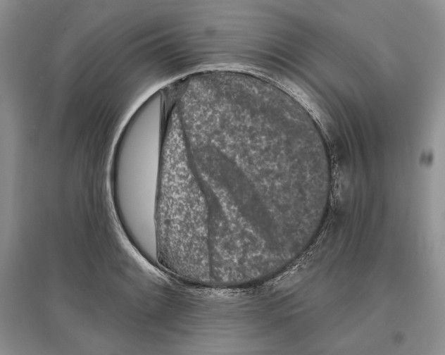 X0000097291084200803141505