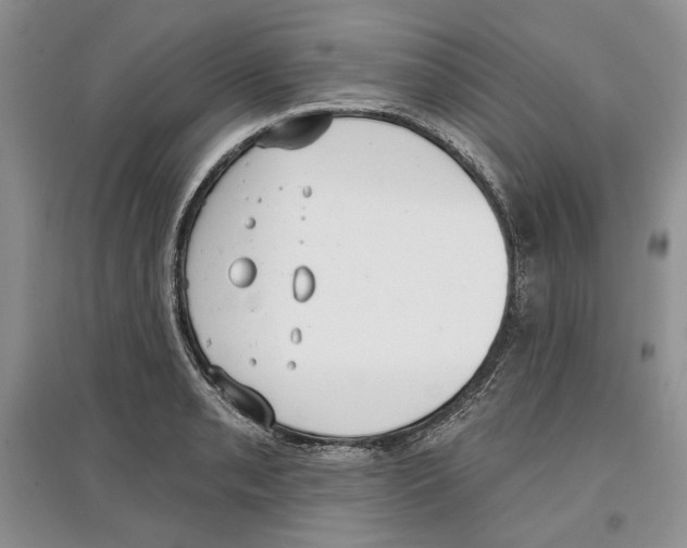 X0000097291085200803141505