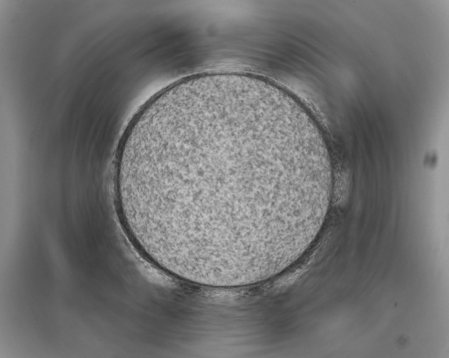 X0000097291086200803141505