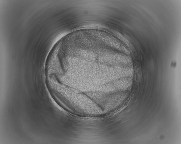 X0000097291087200803141505