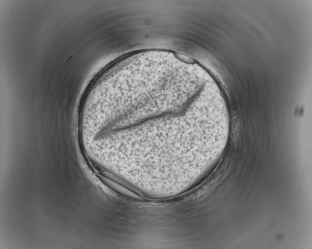 X0000097291088200803141505