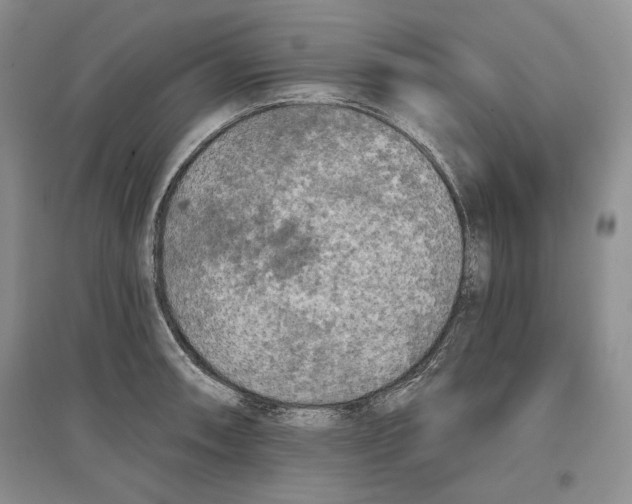 X0000097291090200803141505