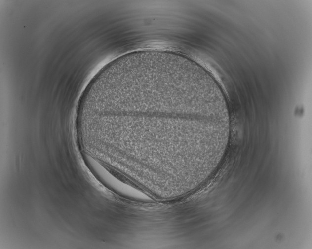 X0000097291091200803141505