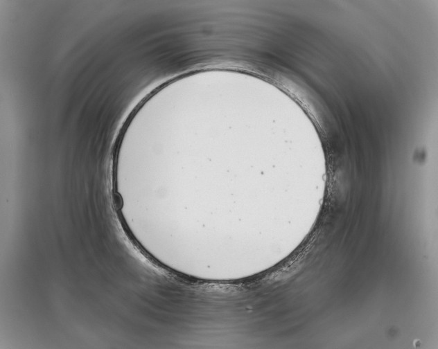 X0000097291092200803141505