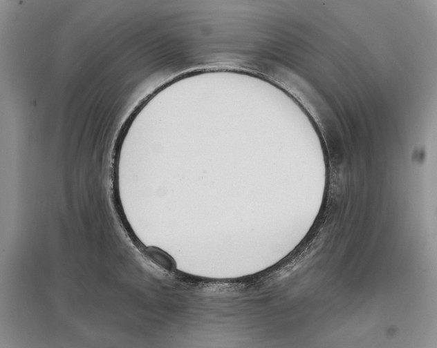 X0000097291093200803141505