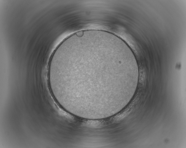 X0000097291094200803141505