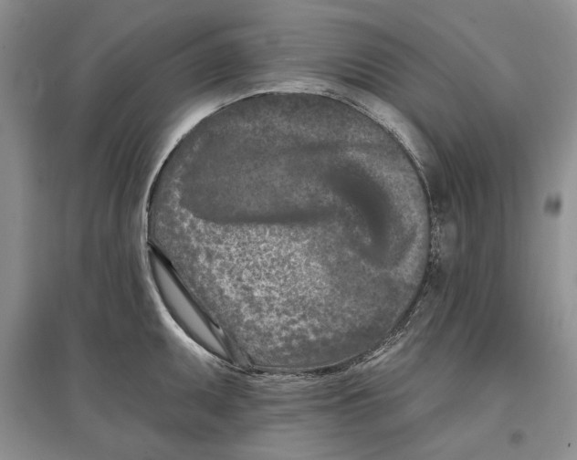 X0000097291095200803141505