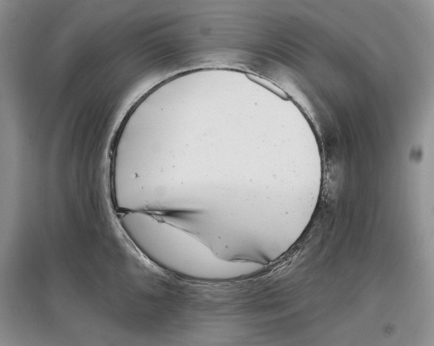 X0000097291096200803141505