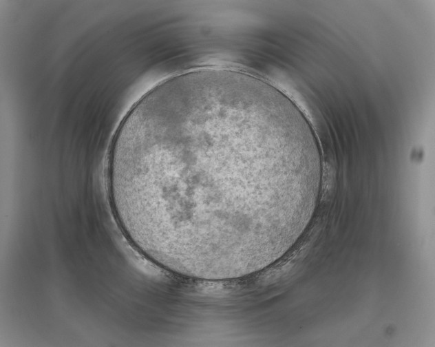 X0000097291098200803141505